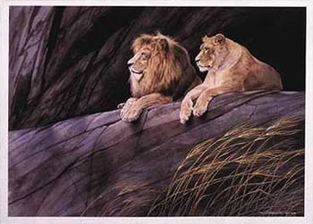 Lions